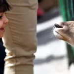 mashhad-vakil-abad-zoo