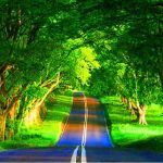 رشت-طبیعت