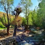روستای لیقوای