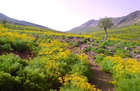 مراکز طبیعی و گردشگری استان آستارا